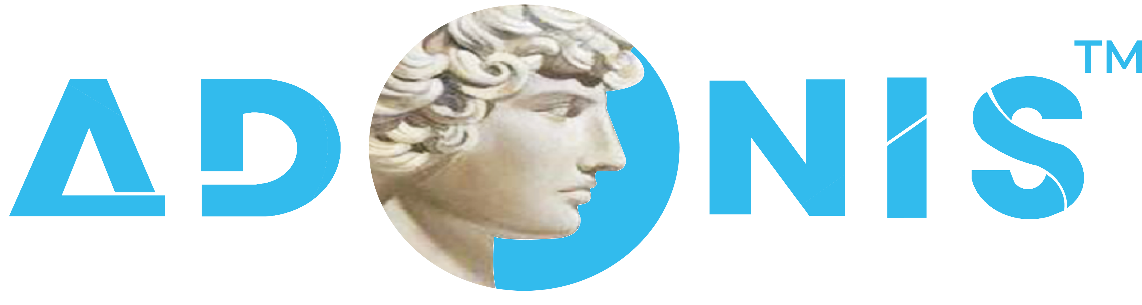 Login | Adonis ERP